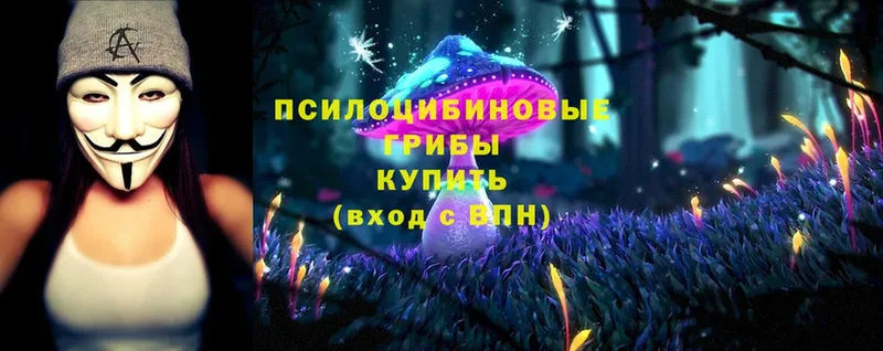 hydra как зайти  Байкальск  Галлюциногенные грибы MAGIC MUSHROOMS  купить закладку 